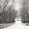 Country Lane in Winter Poster Print by Nicholas Bell - Item # VARPDXB3603D